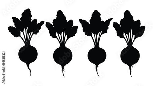 A detailed analysis of four beetroot silhouettes in a horizontal row on a white background