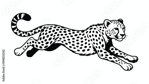 A cheetah is running fast with its legs stretched out and tail curved