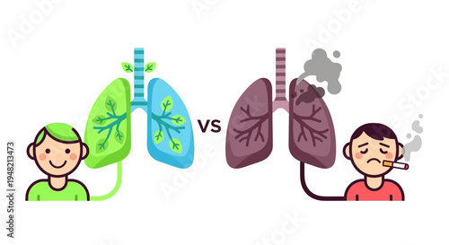 Healthy Lungs vs Damaged Lungs from Smoking A Visual Comparison