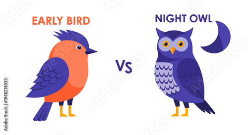 Early Bird vs Night Owl Understanding Chronotypes and Sleep Patterns