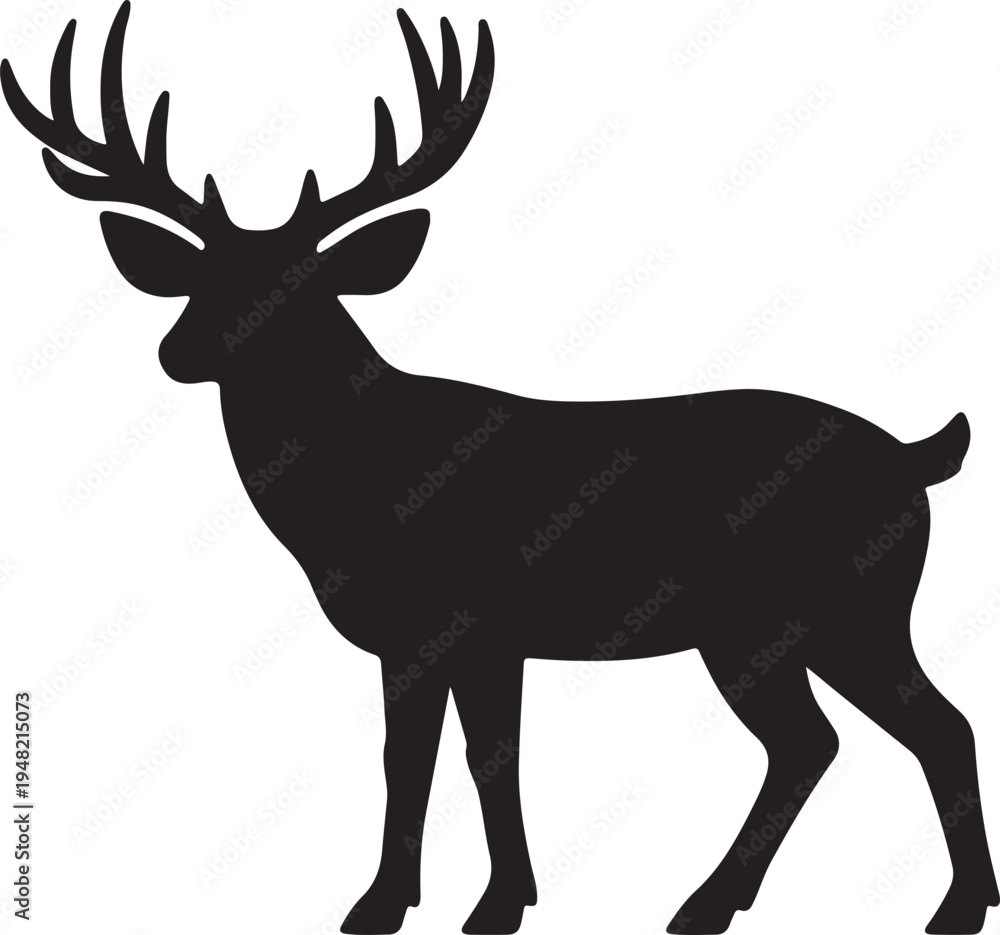Obraz premium Mule Deer Vector Graphic by Creative Designer