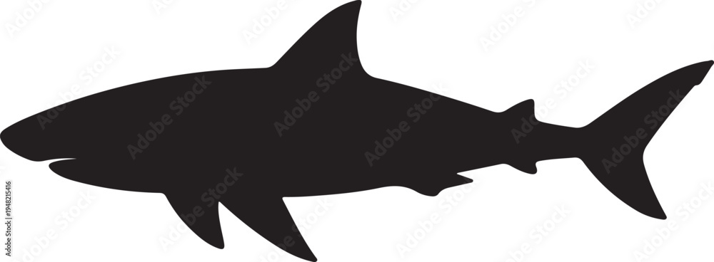 Fototapeta premium Sharks Vector Graphic by Creative Designer