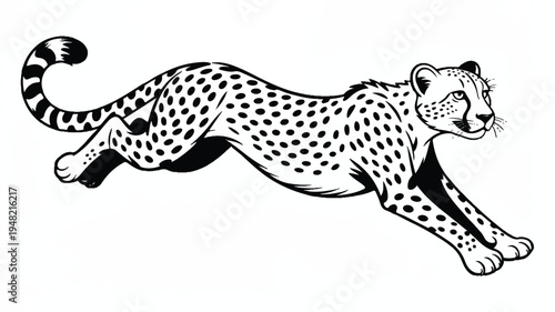 cheetah running fast with spots and tail up in air
