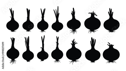 A comprehensive analysis of silhouetted onion bulbs with green tops and roots on white background for agricultural and design applications