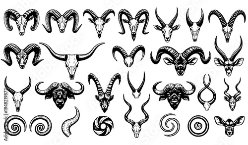 Vintage engraved animal horns collection vector set with ram goat bull and antelope horns isolated illustration