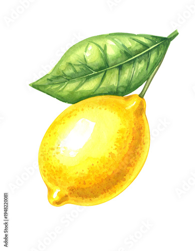 Yellow and green lemon with leaf. Isolated transparent background