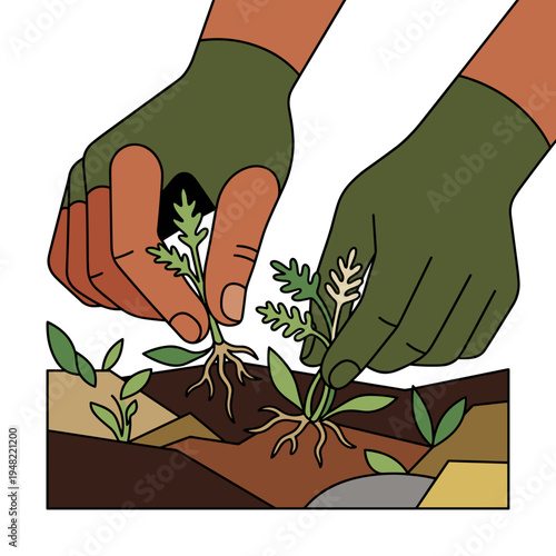 Gardener hands removing weeds with roots from soil bed among young plants sustainable organic gardening care concept