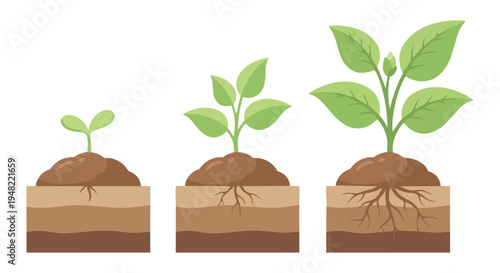 Minimal plant growth concept showing young seedlings growing into healthy green plants in soil