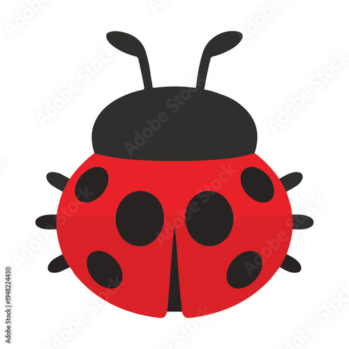 Foto Adorable Ladybug Icon