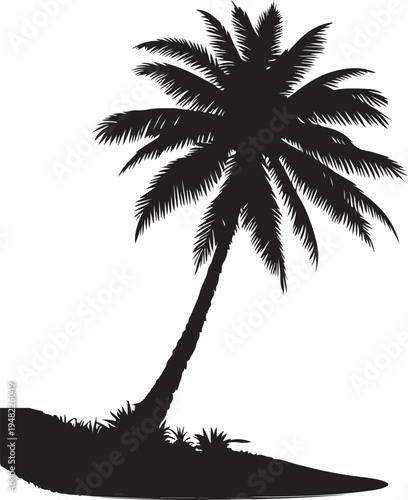Graceful silhouette of a lone tropical palm tree against a plain background Vector, illustration