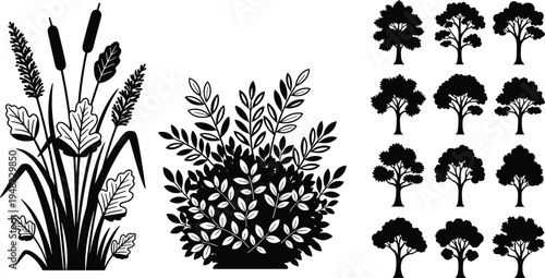 Collection of various plant silhouettes for design and decoration