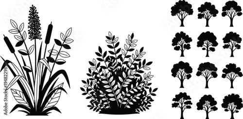 Black and white illustration of various plant species and trees
