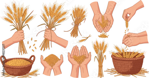 Hand Drawn Wheat Harvest Set with Farmer Hands Holding Wheat Grains Bundles and Basket Rustic Agriculture Farming Vector Illustration