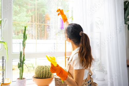 Female spring cleaning, modern interior, cleaning gloves, apron, plant decor, washing windows, home maintenance, company services, healthy lifestyle