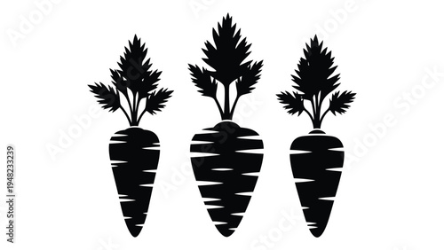 A black and white image of three carrots with green leafy tops on a white background, showcasing a simple yet striking visual representation of a vegetable