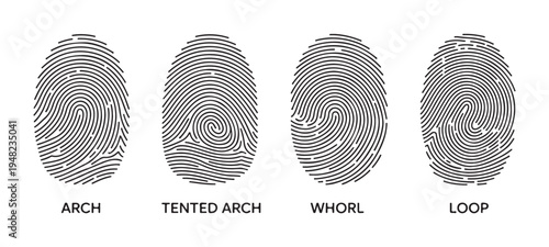 Set of black isolated vector fingerprints, arch, tented arch, whorl, and loop types with labels