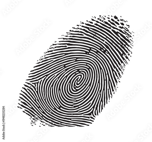 Fingerprint identification pattern top view close up isolated on white background, biometric security detail
