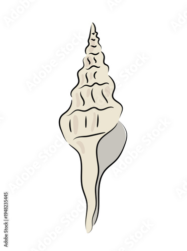 Sea shell in spiral shape, elegant marine shell illustration, flat vector ocean conch isolated on white background. Hand drawn, scribble.