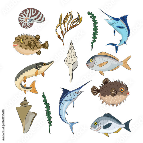 A set of sea creatures, fish, pufferfish, marlin, pike, shells, and seaweed. Flat vector images of marine animals and plants isolated on a white background. Hand drawn, scribble.
