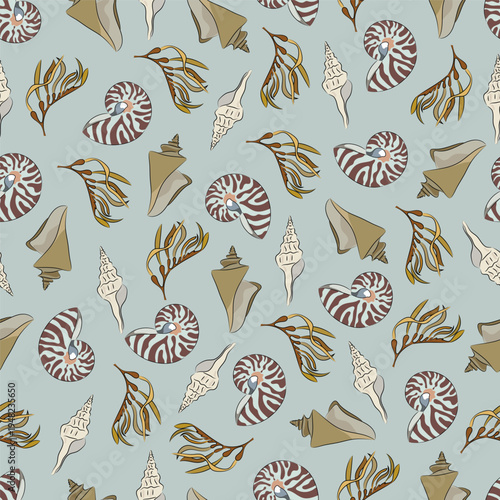 Seamless pattern marine with shells, seaweed, nautilus clams, and seaweed. Decorative flat vector illustration. Hand drawn, scribble.