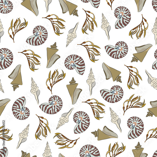 Seamless pattern marine with shells, seaweed, nautilus clams, and seaweed. Decorative flat vector illustration. Hand drawn, scribble.