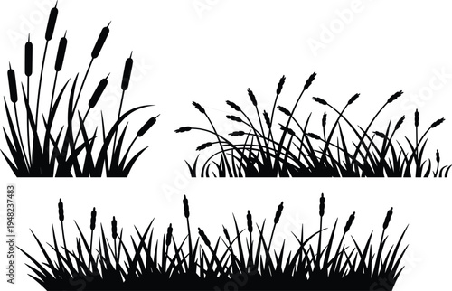 Cattail silhouette vector set, black marsh grass and wetland reed borders, natural plant elements for landscape design