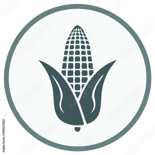 Icon of a corn on the cob within a simple circular frame, harvest illustration.