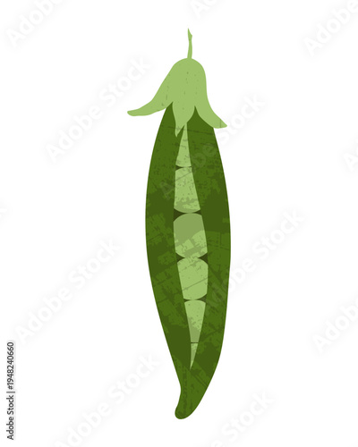 Isolated Green Pea Pod Vegetable Illustration for Organic Food Design, Tag, Print, Poster, Packaging