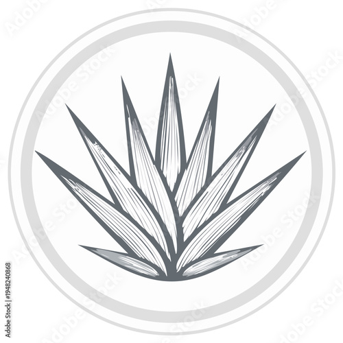 Agave Plant Grayscale Graphic Elegant Circle Frame Artistic Design Icon for Tequila Mexican Desert Flora