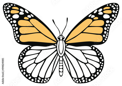 Illustrated monarch butterfly with orange, black, and white markings and detailed wing patterns