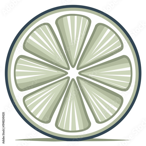 Lime Slice Vector Illustration Fresh Citrus Fruit Round Segment Halved Detail Design