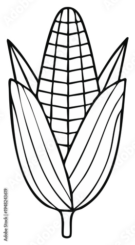 Hand drawn line art illustration of a fresh ear of corn with green leaves