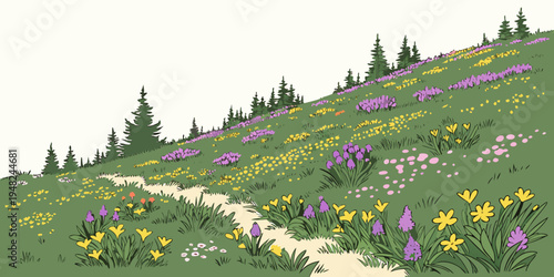 a hillside covered in colorful wildflowers and a winding dirt path Vector
