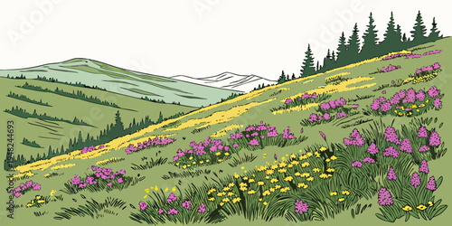 a hillside covered in purple and yellow wildflowers Vector