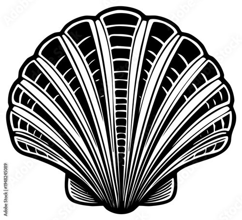 Stylized Black and White Scallop Shell Illustration Detailed Ribbed Pattern