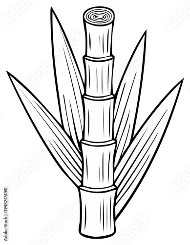 Stylized line drawing of a sugarcane stalk with large leaves