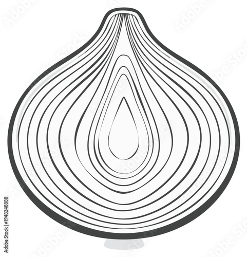 Cross-section of a white onion revealing concentric layers of pulp and rings, graphic illustration