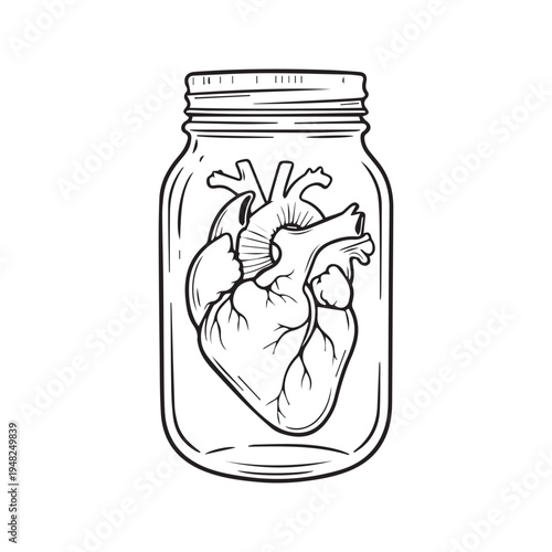 Anatomical heart inside a glass jar line art drawing black and white sketch
