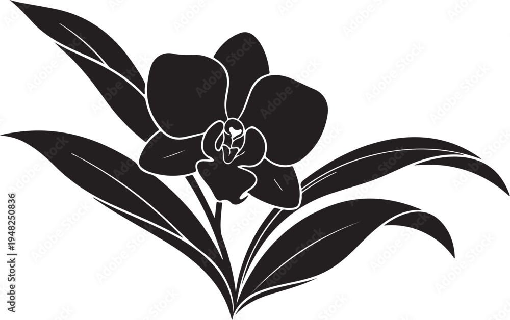 Obraz premium Black orchid flower icon vector