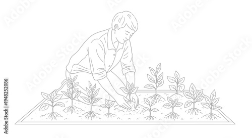 Dedicated gardener tending to young plants in a meticulously arranged garden bed.