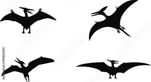 Pterodactyl dinosaur silhouettes flying prehistoric reptile collection isolated vector illustration ancient pterosaur creatures with wings spread fossil era animal shapes on light background