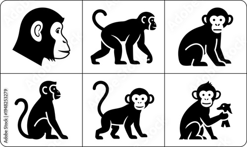 A set of six monkey silhouettes in different poses, including sitting, standing, walking, and playing, against a white background.