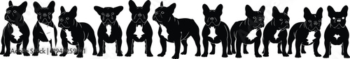 French bulldog silhouette collection, black and white dog breeds, vector puppies in various poses, canine pet animal graphics, isolated illustrations, pet shop design