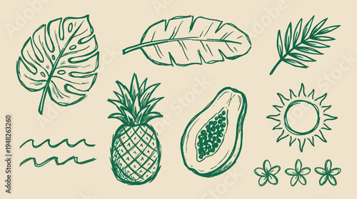Artistic collection of exotic tropical elements naive vector drawn, perfect for summer vacation designs and island-themed projects