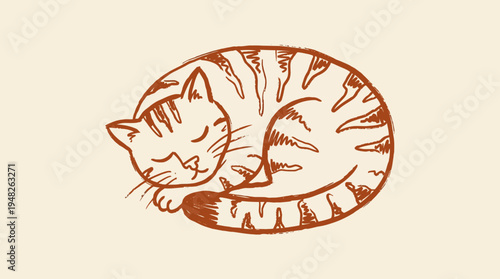 Hand-drawn illustration of a peacefully sleeping tabby cat curled up in a relaxed pose, a cozy and adorable feline sketch