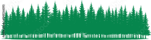 Green silhouette of coniferous forest with pine and spruce trees, evergreen woodland landscape, nature background for outdoor adventure design
