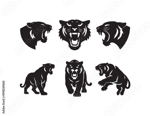 Set of black animal silhouettes including tiger and bear vector illustrations