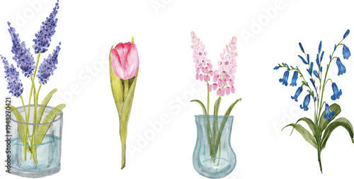 watercolor spring flower pink purple muscari, tulip and bluebell