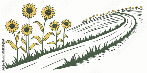 a field of sunflowers growing by a dirt road Vector
