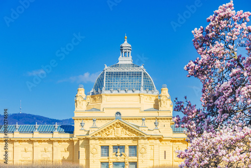 King Tomislav square in Zagreb, Croatia, springtime magnolia blossom